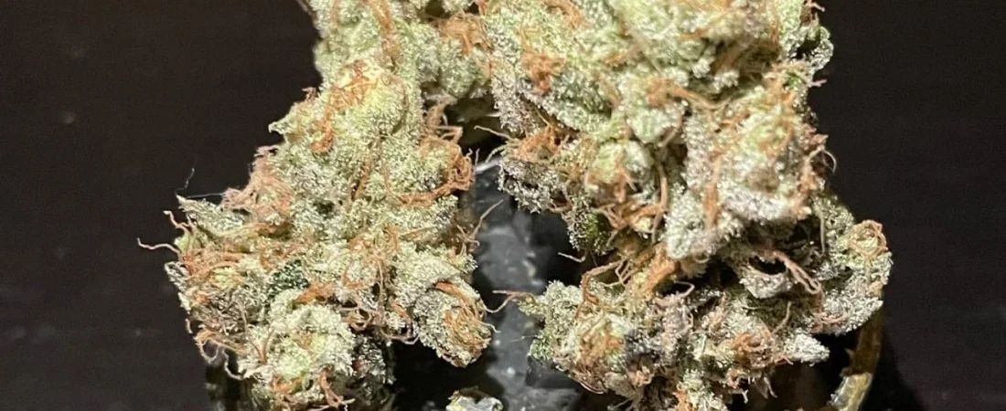 DaVinci Frog Poison vs. Frog Poison: WaterBoyz710 living soil drops compared