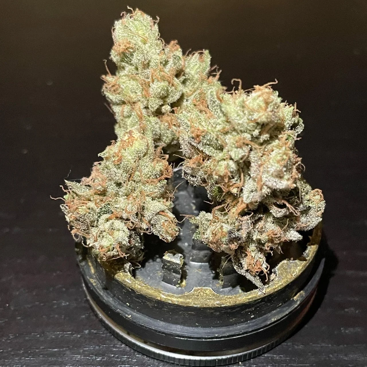 DaVinci Frog Poison vs. Frog Poison: WaterBoyz710 living soil drops compared