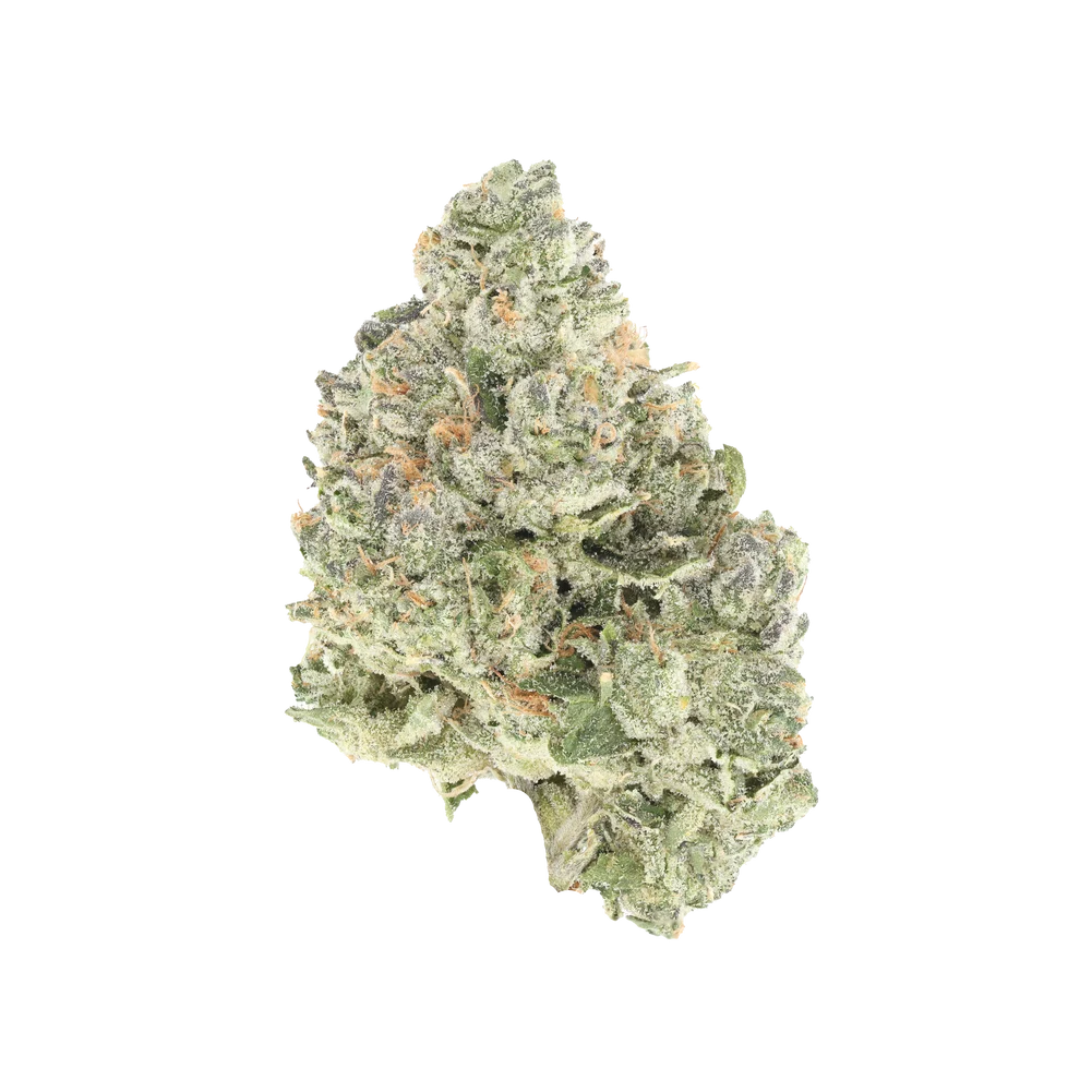 Frog Poison also known as Toad Venom cannabis flower by Cutright Cannabis x WaterBoyz710 living soil drop showing dense frosty green nugs with orange hairs