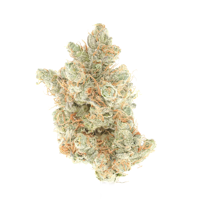 Davinci Frog Poison also known as Toad Venom cannabis bud by WaterBoyz710 x Cutright Cannabis Cutwater living soil showing dense frosty green nugs with bright orange hairs